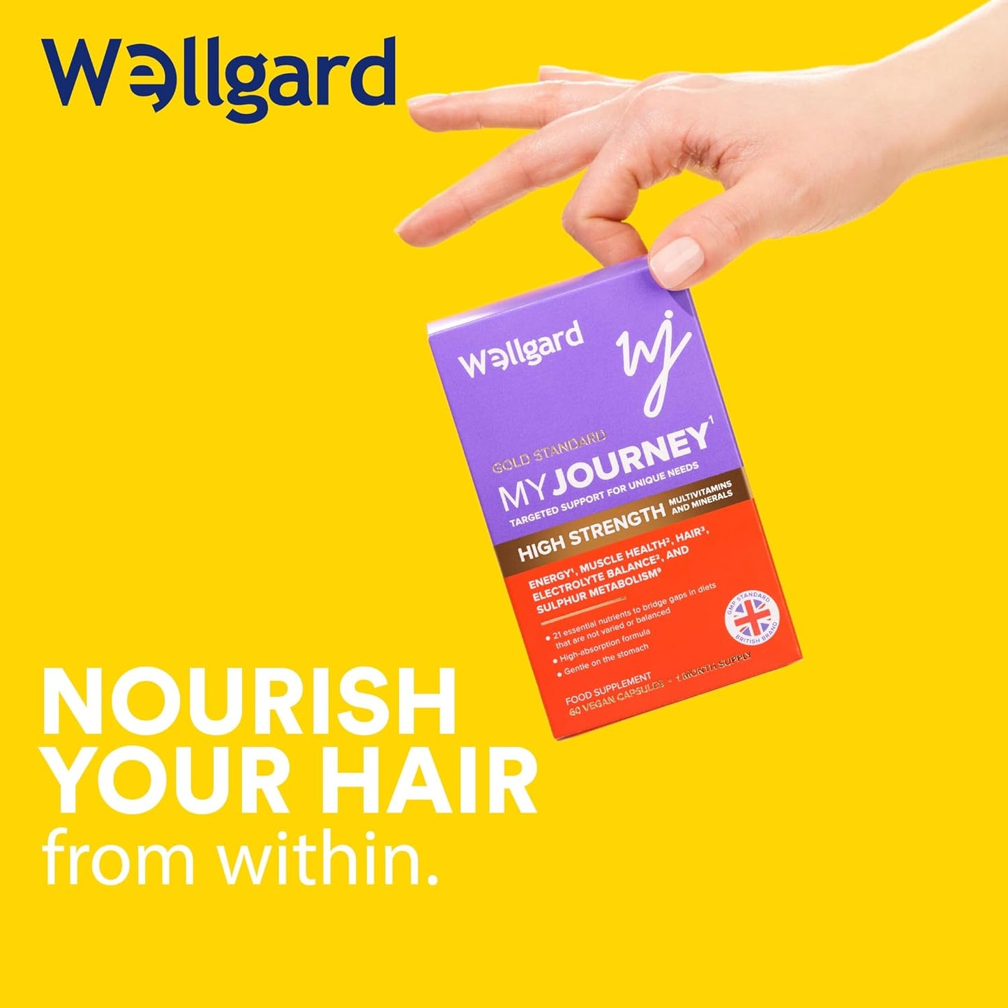 Wellgard My Journey – MJ Multivitamin for Energy, Muscles, Hair, Electrolyte Balance and Sulphur Metabolism, 60 Capsules