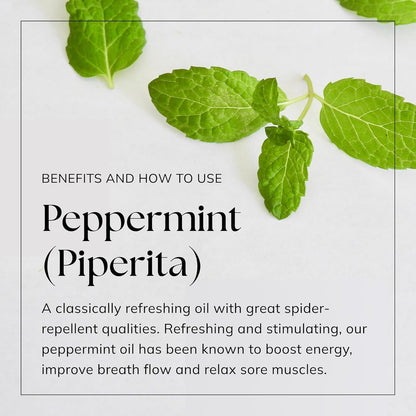Nikura Myrrh Essential Oil - 10ml | 100% Pure Natural Oils | Perfect for Aromatherapy, Diffusers, Soap Making, Candle Making | Great for Skin, Headache Relief | Vegan & UK Made